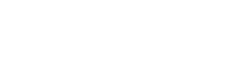 Ekoi